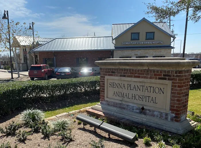 Sienna Plantation Animal Hospital 8
