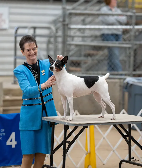 Conroe Veterinary Clinic 12