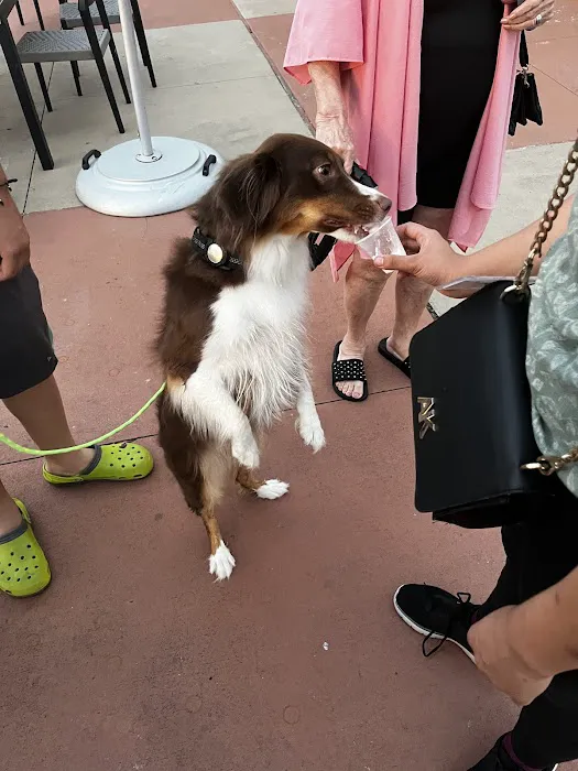 Conroe Veterinary Clinic 12