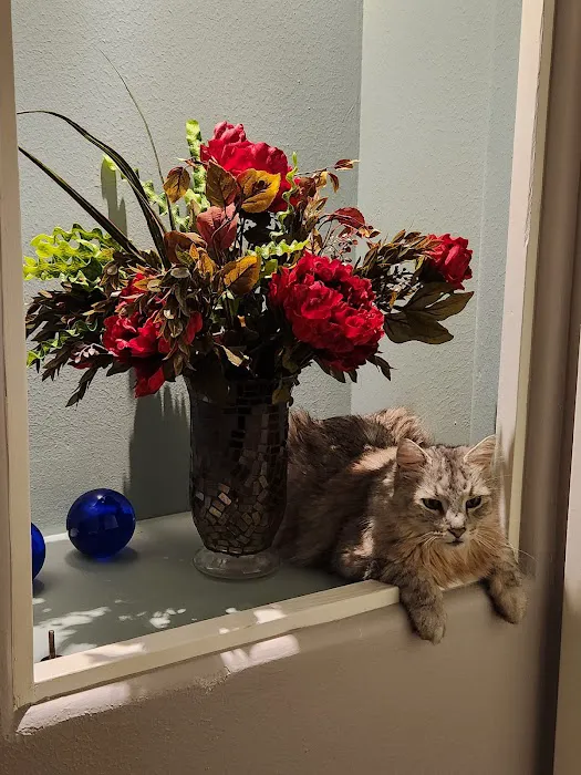 Conroe Veterinary Clinic 12