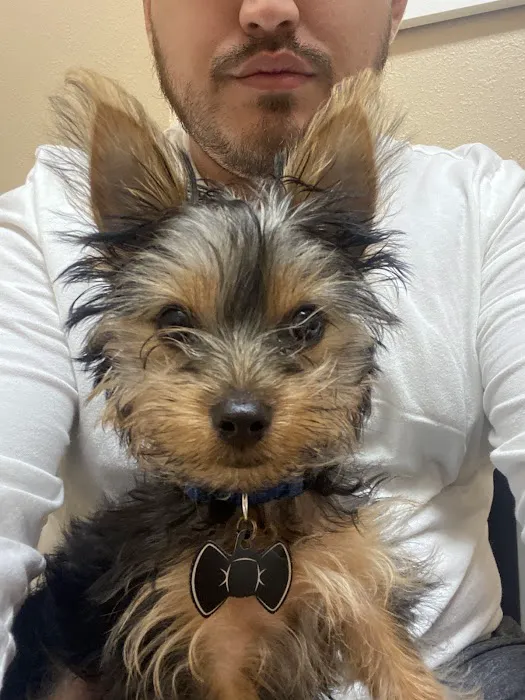 Animal Hospital and Emergency Clinic of Conroe 12