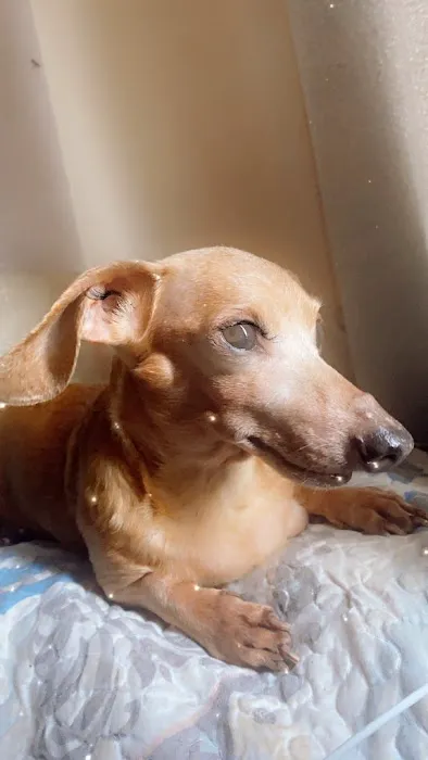 HUB Veterinary Group - Conroe 12