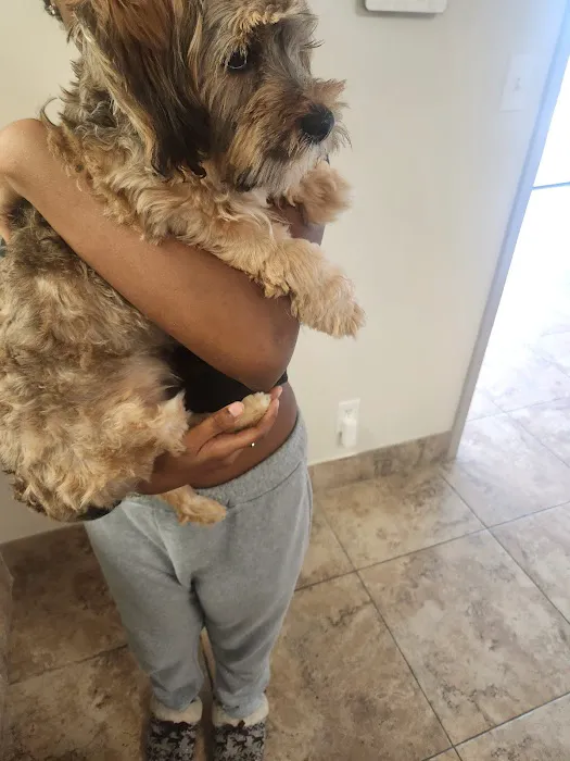 HUB Veterinary Group - Conroe 12