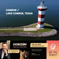 Horizon Veterinary | Animal Clinic & Surgical Center 12