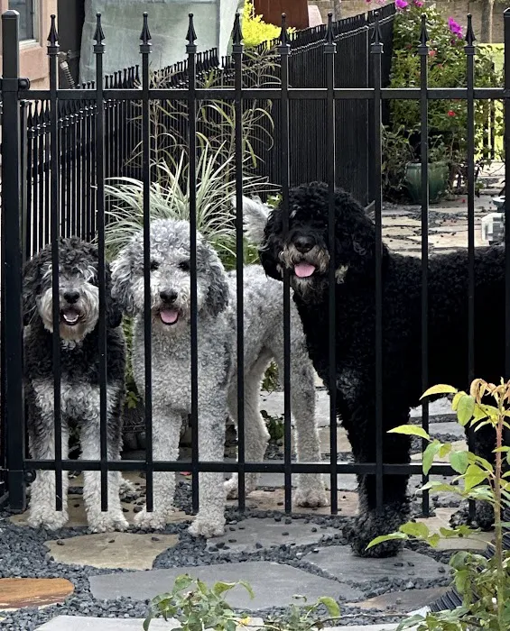 Horizon Veterinary | Animal Clinic & Surgical Center 12