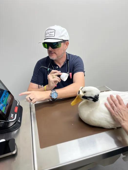 Horizon Veterinary | Animal Clinic & Surgical Center 12