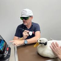 Horizon Veterinary | Animal Clinic & Surgical Center ico