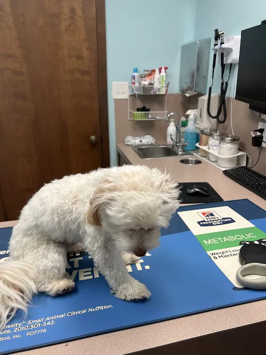 West Davis Veterinary Clinic 12