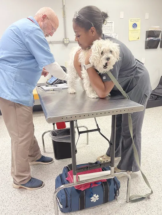 Vetco Vaccination Clinic 12