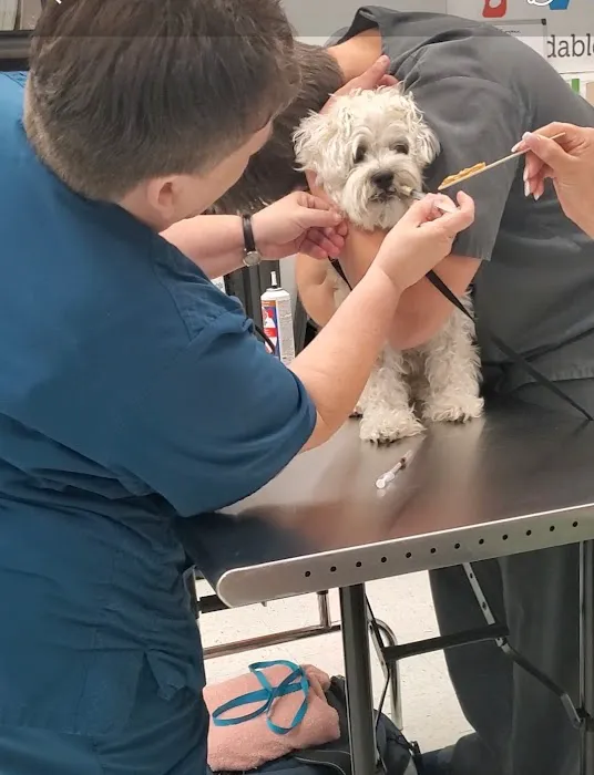 Vetco Vaccination Clinic 12