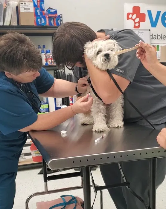 Vetco Vaccination Clinic 12