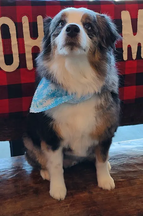 My Family Vet Montgomery 12