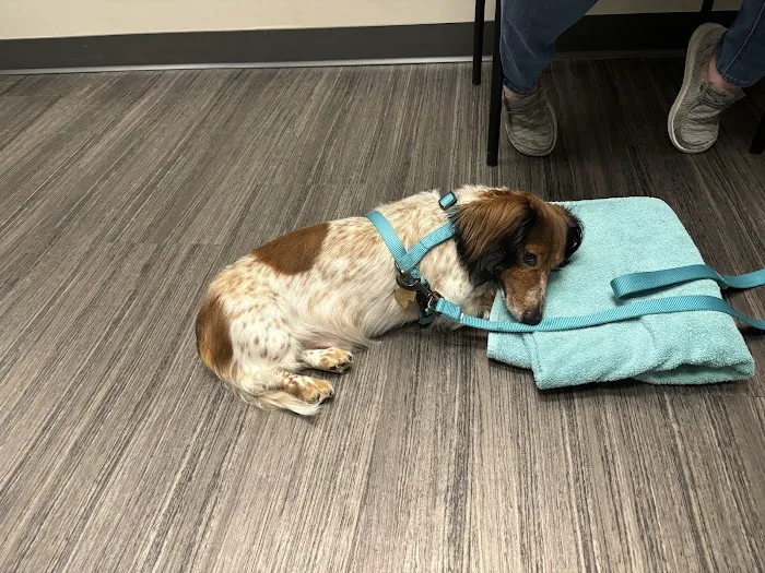Magnolia Veterinary Hospital 12