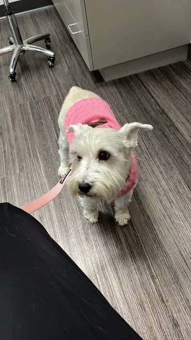 Magnolia Veterinary Hospital 12