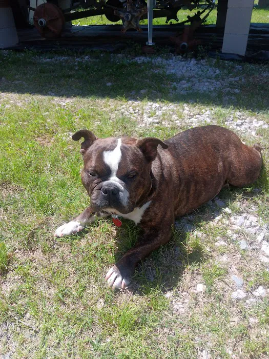 Banfield Pet Hospital 12