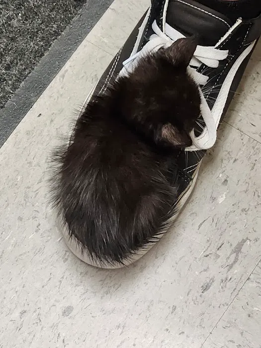 Banfield Pet Hospital 12