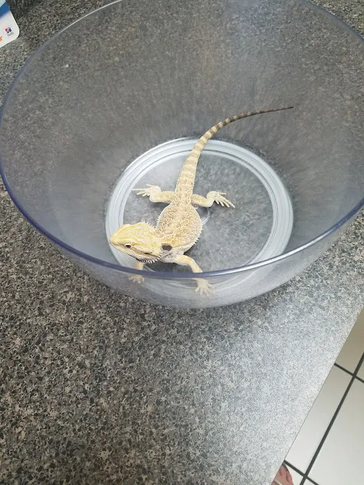 Banfield Pet Hospital 12