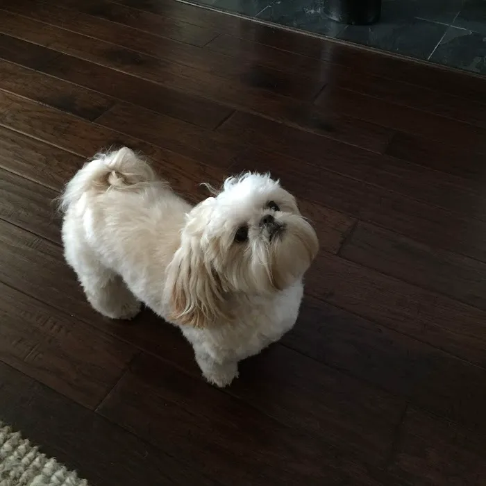 Sugar Land Veterinary Specialists & Emergency Care 2
