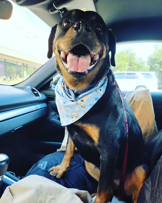 Sugar Land Veterinary Specialists & Emergency Care 3