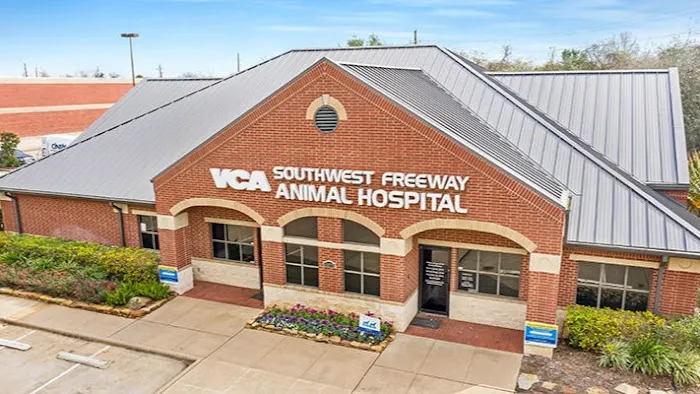 VCA Southwest Freeway Animal Hospital 6