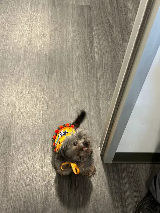 Sugar Land Veterinary Clinic 6