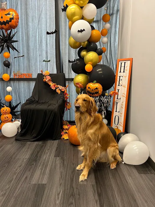 Sugar Land Veterinary Clinic 5