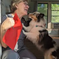 Family Pet Care Sugar Land ico