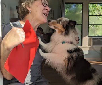Family Pet Care Sugar Land