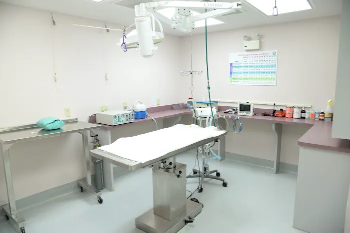 VCA Lexington Boulevard Animal Hospital 2