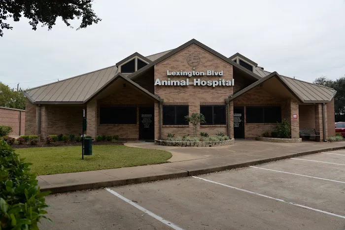 VCA Lexington Boulevard Animal Hospital 7