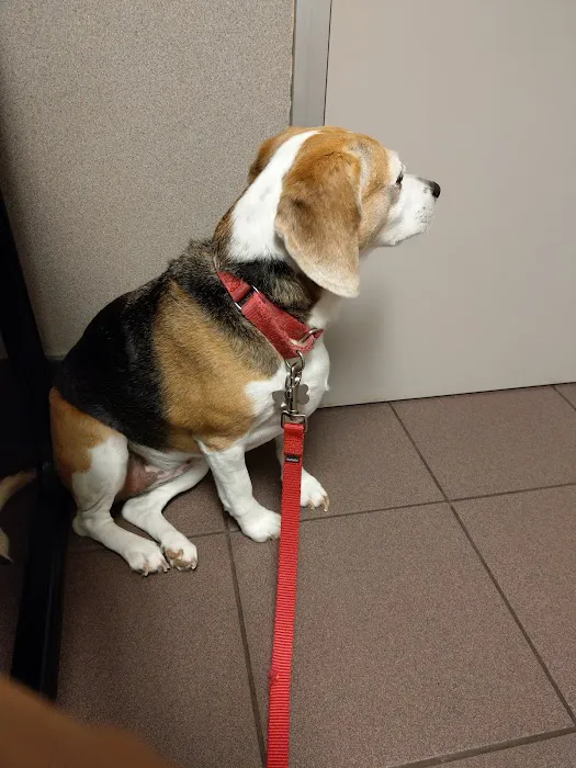 VCA Lexington Boulevard Animal Hospital 10
