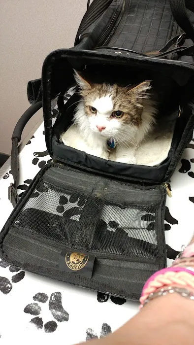 Lexington Boulevard Animal Hospital: Baxter Dayna DVM 6