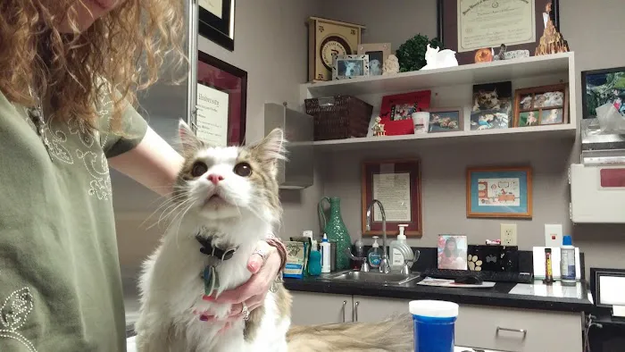 Lexington Boulevard Animal Hospital: Baxter Dayna DVM 2