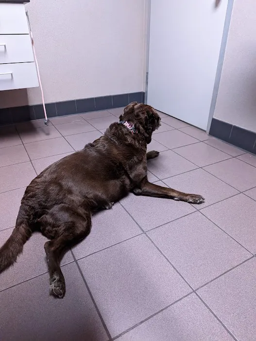 Lexington Boulevard Animal Hospital: Baxter Dayna DVM 8