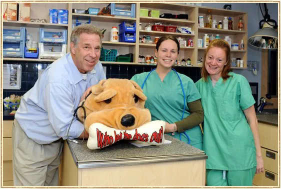 Island Trees Veterinary Hospital 7