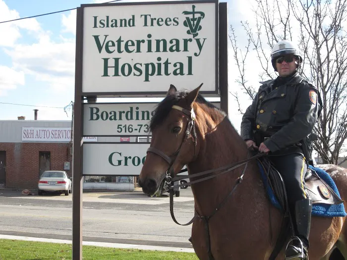 Island Trees Veterinary Hospital 8