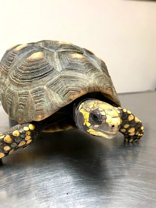 Old Country Animal Clinic 8