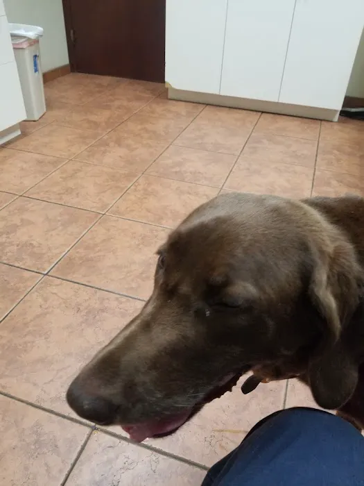 Manetto Hill Animal Hospital 2