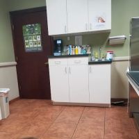 Manetto Hill Animal Hospital ico