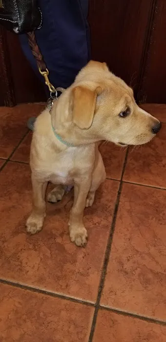 Manetto Hill Animal Hospital 7