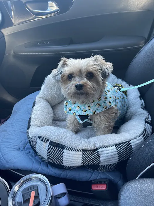 Long Island Veterinary Specialists 1