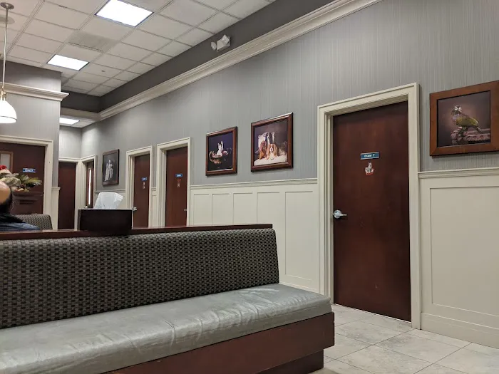 Long Island Veterinary Specialists 9