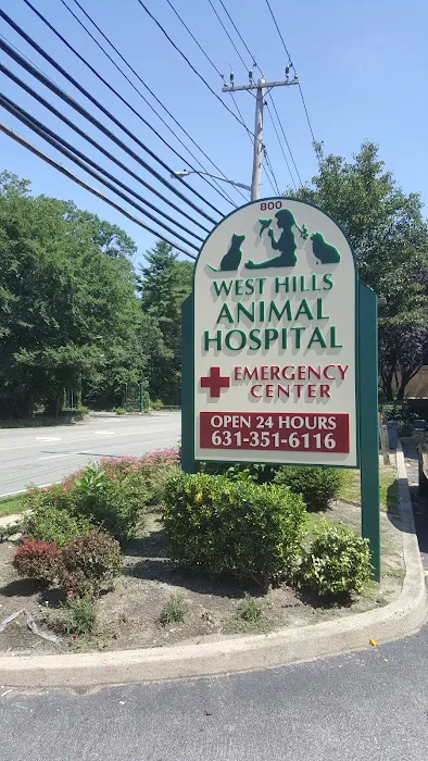 West Hills Animal Hospital & Emergency Center 2