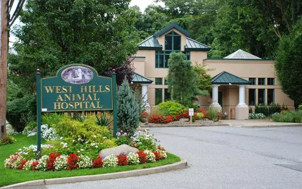 West Hills Animal Hospital & Emergency Center 8