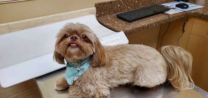 West Hills Animal Hospital & Emergency Center 9