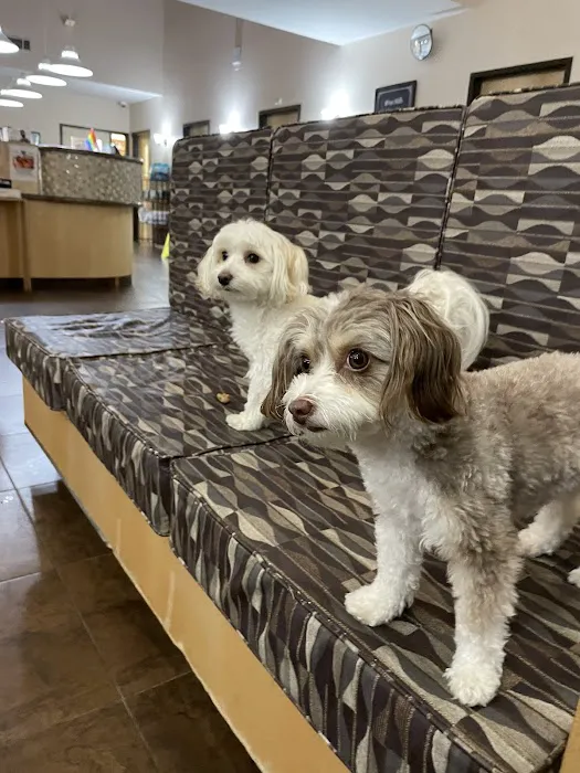 West Hills Animal Hospital & Emergency Center 7