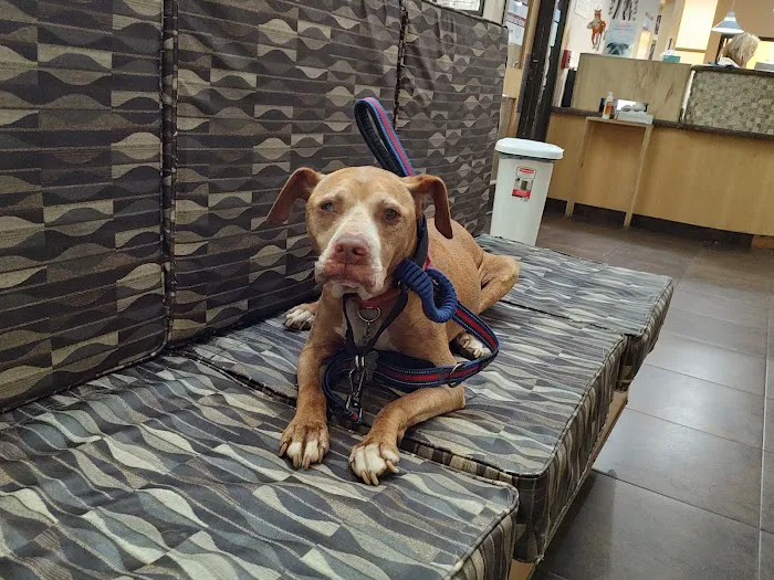 West Hills Animal Hospital & Emergency Center 6