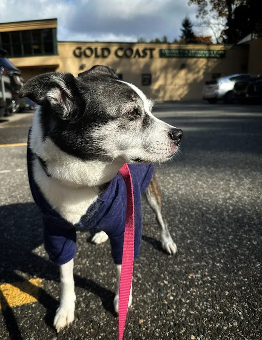 Gold Coast Center for Veterinary Care 4