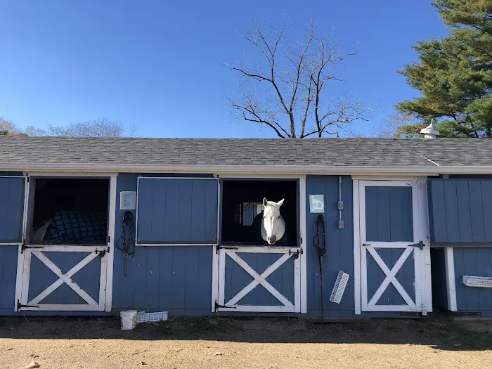 helpful horse 2
