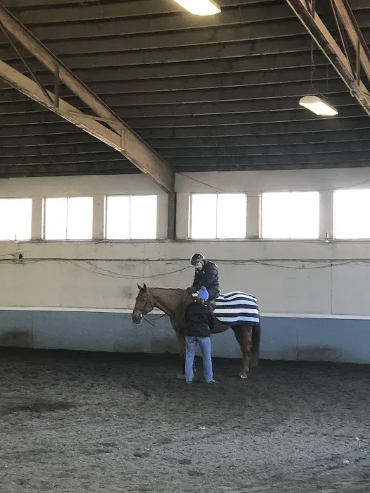 helpful horse 1